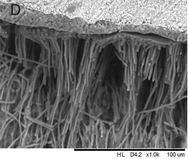 SEM - Oral Challenges