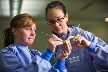Dental Therapy student gets feedback on work