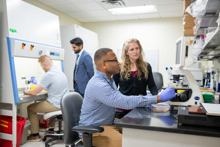 Student engages in research in a lab, supervised by Julie Olson, PhD