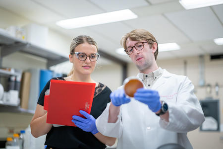 Scientists observing a specimen