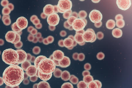Stock image of cancer cells 