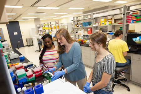 MnCORE learners participate in research in the lab