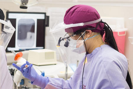 Five reasons to attend the School of Dentistry