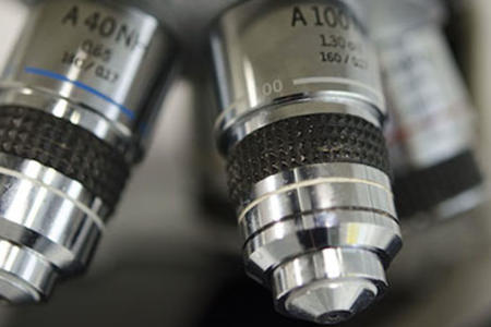lab photo