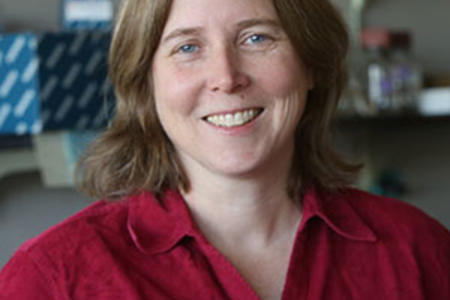 Shelley N. Grimes