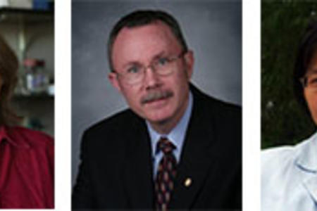 Shelley Grimes, Scott McClanahan, Wei Zhang