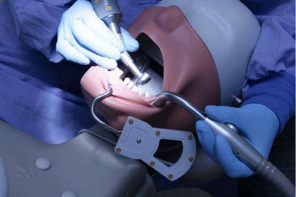 Closer view of detailed practice dummy with mouth open and student working on