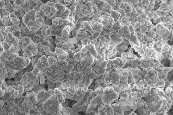 Assessment of biofilm