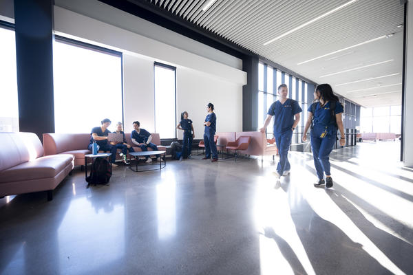 a group of dental students studying