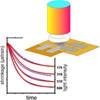 Polymerization Shrinkage