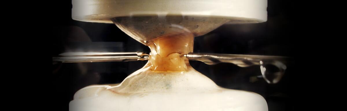 experiment with tooth model