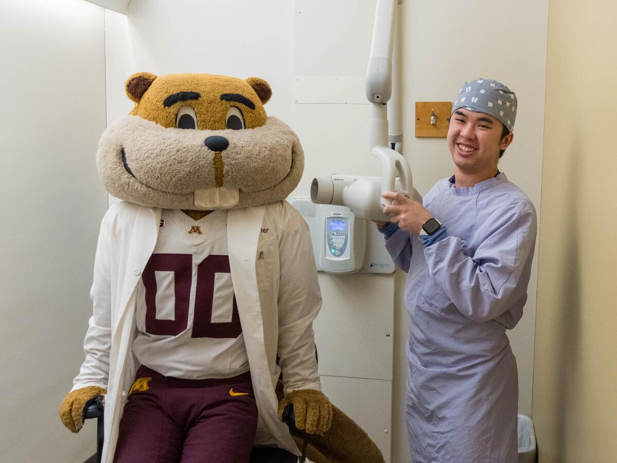 Goldy getting xray taken.