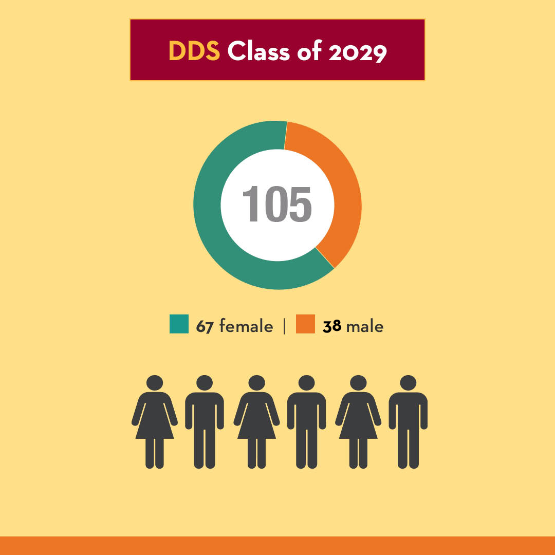 DDS Class of 2029 includes 67 female and 38 male students