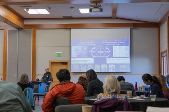 Don Simone presenting on neural mechanisms of pain