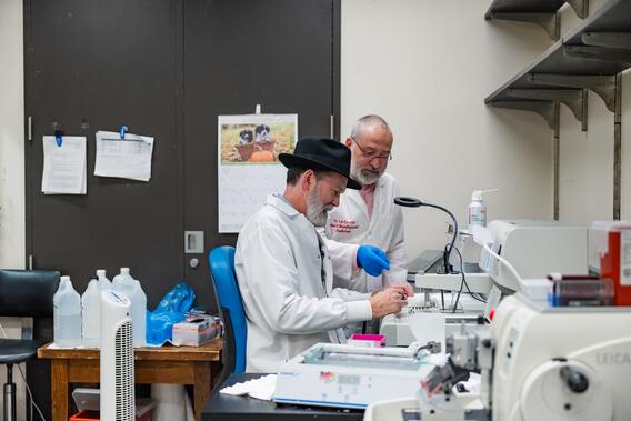 Two men working in oral pathology lab.