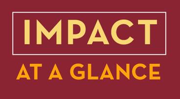 Impact at a glance