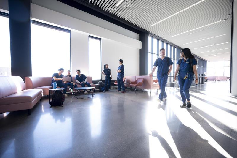 a group of dental students studying