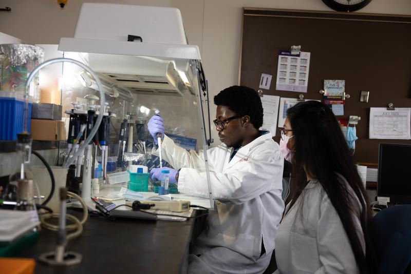 oral biology researchers working with fluids