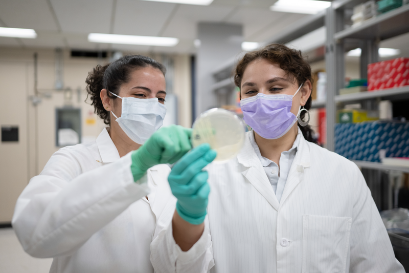Two student researchers in PPE examine a petri dish