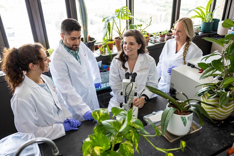 four oral biology students chat in a lab setting