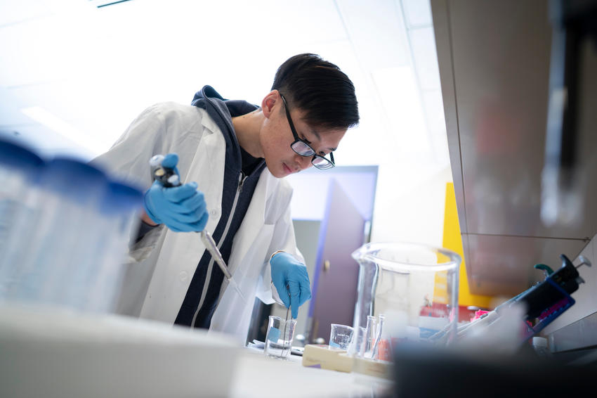 Researcher works in a lab