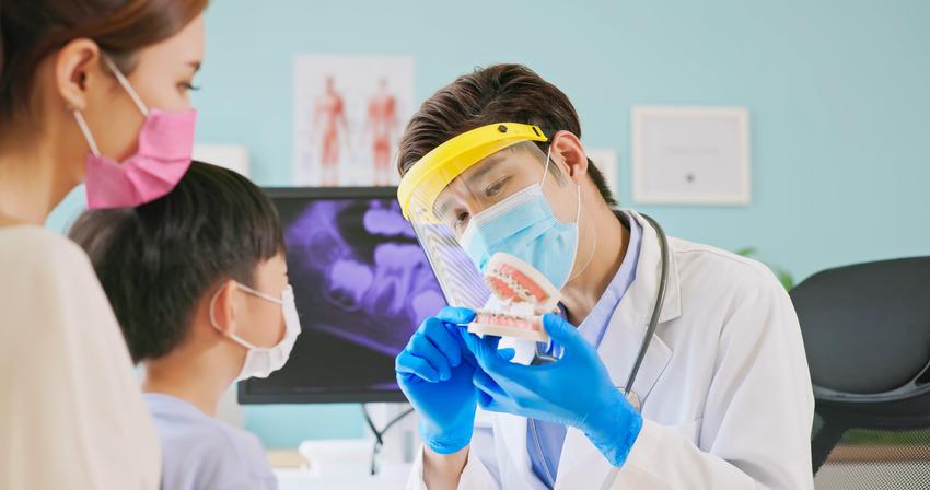 A dentist shows a model of teeth to a young child and his mother.