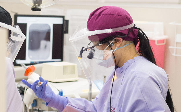 Five reasons to attend the School of Dentistry