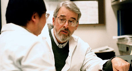 Mark Herzberg