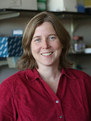 Shelley N. Grimes