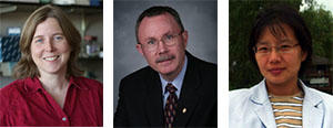 Shelley Grimes, Scott McClanahan, Wei Zhang