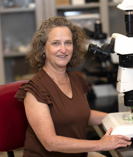 Dr. Artinger at a microscope